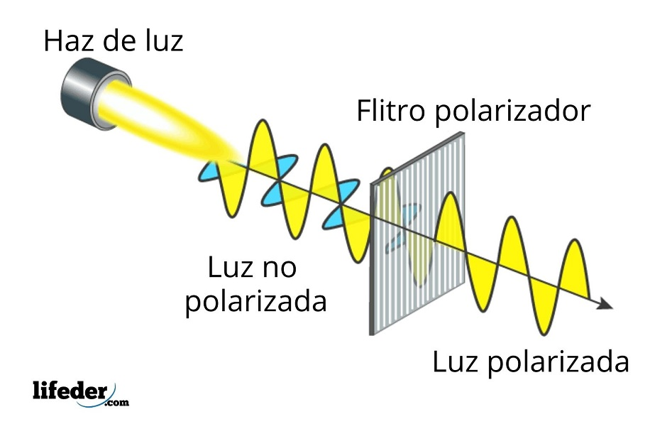 https://www.lifeder.com/polarizacion-de-la-luz/